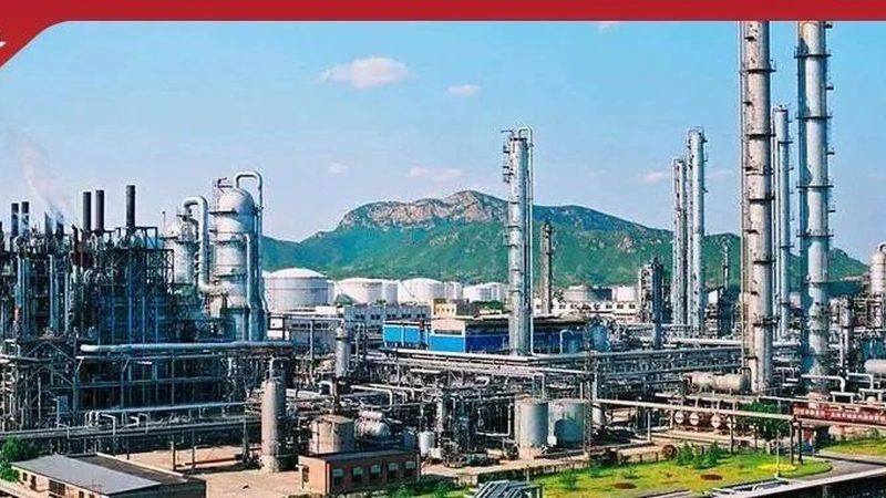 瓷砖胶粘剂C1与C2：揭秘其区别与应用