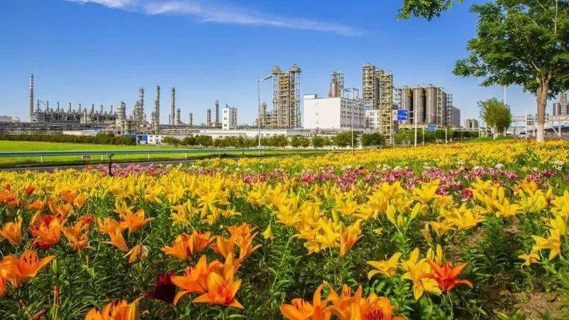 无机化工原料行业标准最新版本：解读与影响